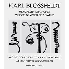 Karl Blossfeldt 1865-1932 : Das fotografische Werk