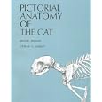 Pictorial Anatomy of the Cat by Stephen G. Gilbert