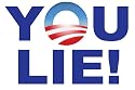 You Lie! Joe Wilson anti obama bumper sticker