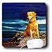 golden retriever - Dogs Golden Retriever - Golden Retriever - Mouse Pads