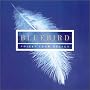 Bluebird - Music of Contemplation