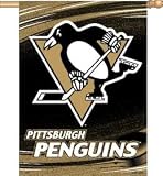 Pittsburgh Penguins 28x37 Banner