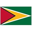 Guyana Flag 4ft x 6ft Nylon