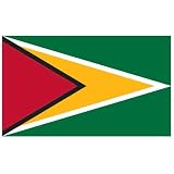 Guyana Flag 3ft x 5ft Polyester - B0014SBTDE