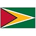 Guyana Flag 3ft x 5ft Polyester