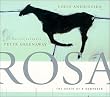 Rosa: The Death of a Composer