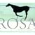 Rosa: The Death of a Composer