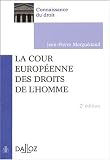 La Cour europ�enne des droits de l'homme