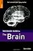 The Rough Guide to The Brain (Rough Guides Reference Titles)