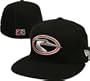 Minor League Cap Dlm Shorebirds