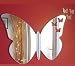 Butterflies Out of Butterfly Mirror 35cm X 25cm & 3 Baby Butterflies