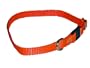 Sandia Pet Products Neon Orange Cat Safety Collar - Adjustable 8 to 12 inch