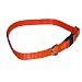 Sandia Pet Products Neon Orange Cat Safety Collar - Adjustable 8 to 12 inch