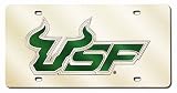 South Florida Bulls Laser Tag