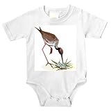 Onesie with snipe, eggs, bird