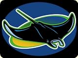 Tampa Bay Devil Rays Mouse Pad