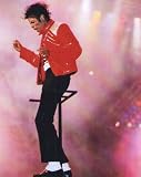 �u���}�C�h�ʐ^���}�C�P���E�W���N�\��Michael Jackson/�����X�e�[�W �摜