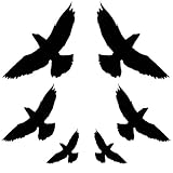 Produkt-Bild: Vogel Aufkleber 6 St&uuml;ck Warnv&ouml;gel Greifvogelsilhouette