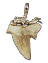 Unique Sterling Diver on Genuine Extinct Otodus Shark Tooth Pendant