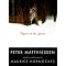 Cats and Dogs