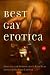 Best Gay Erotica 2004 (Best Gay Erotica Series)