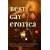 Best Gay Erotica 2004 (Best Gay Erotica Series)