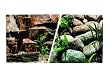 (A1711) Marina Freshwater, 12 Aquarium Background, Rocky Canyon/Riverbed