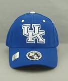 Kentucky Wildcats Adult  One-Fit Hat