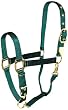 Hamilton Deluxe 1" Nylon Horse Halter with Adjustable Chin and Snap, Dark Green, Small/Cob (500-800 lbs)