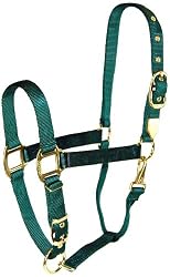 Hamilton Deluxe 1" Nylon Horse Halter with Adjustable Chin and Snap, Dark Green, Small/Cob (500-800 lbs)