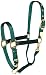 Hamilton Deluxe 1" Nylon Horse Halter with Adjustable Chin and Snap, Dark Green, Small/Cob (500-800 lbs)