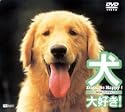 ����D���h�b�O�Y�r�[�n�b�s�[ DVD