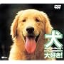 ���A��D��!�h�b�O�Y�E�r�[�E�n�b�s�[! [DVD]