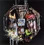 Heart of the Congos