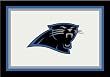Carolina Panthers 3' 10" x 5' 4" Team Spirit Area Rug