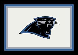 Carolina Panthers 3' 10" x 5' 4" Team Spirit Area Rug