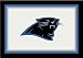 Carolina Panthers 3' 10" x 5' 4" Team Spirit Area Rug