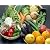 □ 築地市場 厳選野菜 野菜 12種類以上 果物2種類 他 ※商品画像は商品イメージでございます。