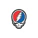 Grateful Dead - Steal Your Face Antenna Topper