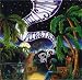 Hillside Airstrip [Vinyl LP]