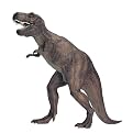 Schleich Tyrannosaurus Rex Replicasaurus Dinosaur