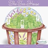 indoor plant terrariums