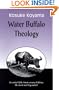 Water Buffalo Theology (25th Anniversary Edition, Revised & Expanded)