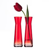 Produkt-Bild: LEONARDO 086491 - Set/2 Vasen Rio rot