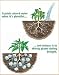 4oz. Soil Moist Trap Polymers Soil Vigor (Tm)