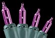 Set of 100 Purple Everglow Mini Christmas Lights - Green Wire