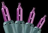 Set of 100 Purple Everglow Mini Christmas Lights With Green Wire
