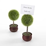 Kate Aspen 22011GN Topiary Place Card Holder