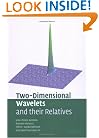 Two-Dimensional Wavelets and their Relatives