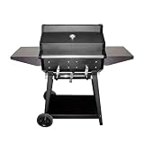 TheNewPhoenixCharcoalGrill